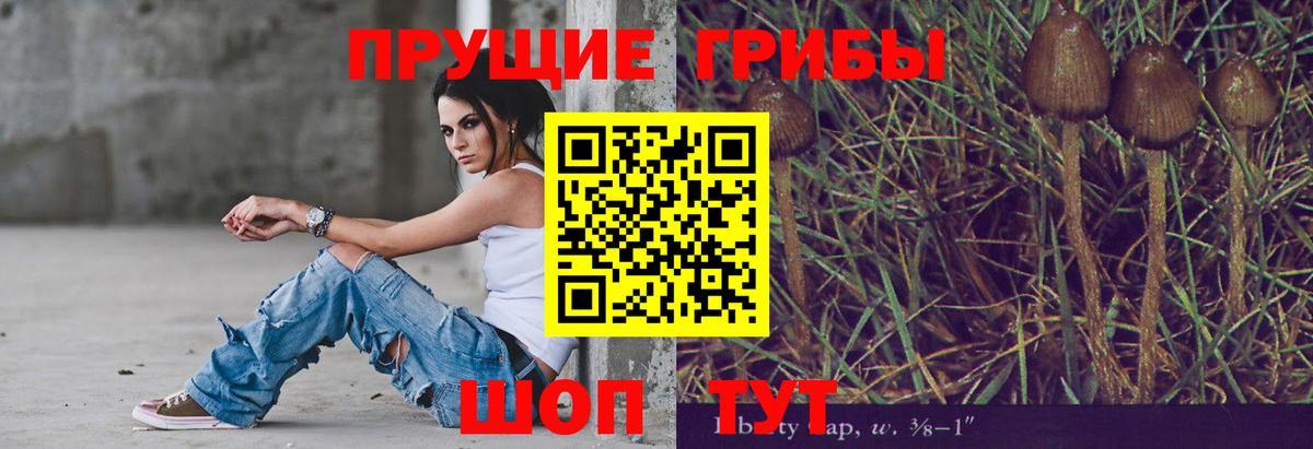 Зерноград  даркнет сайт  Вход с VPN  Галлюциногенные грибы мицелий 