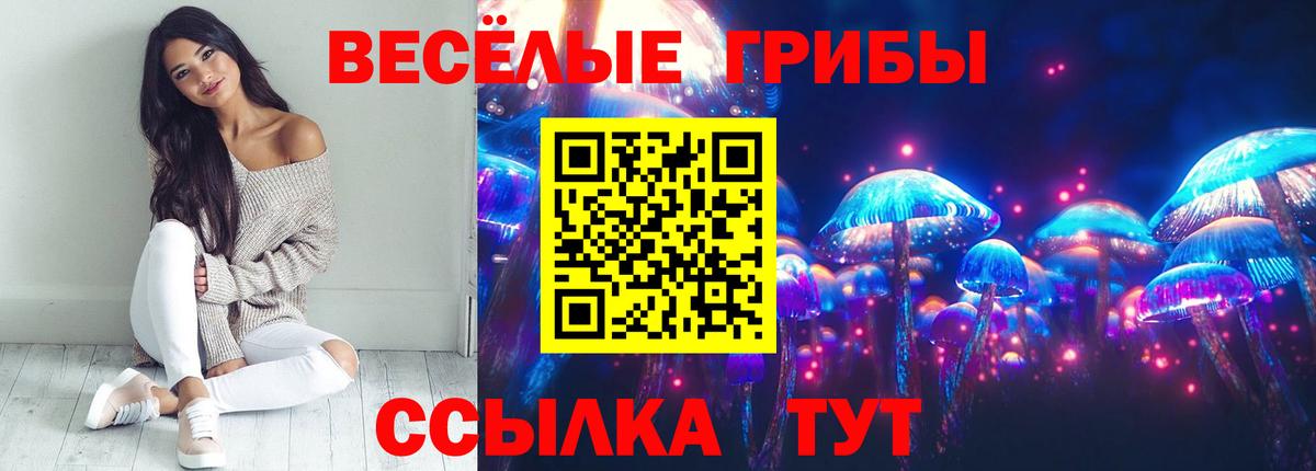 Галлюциногенные грибы прущие грибы Зерноград